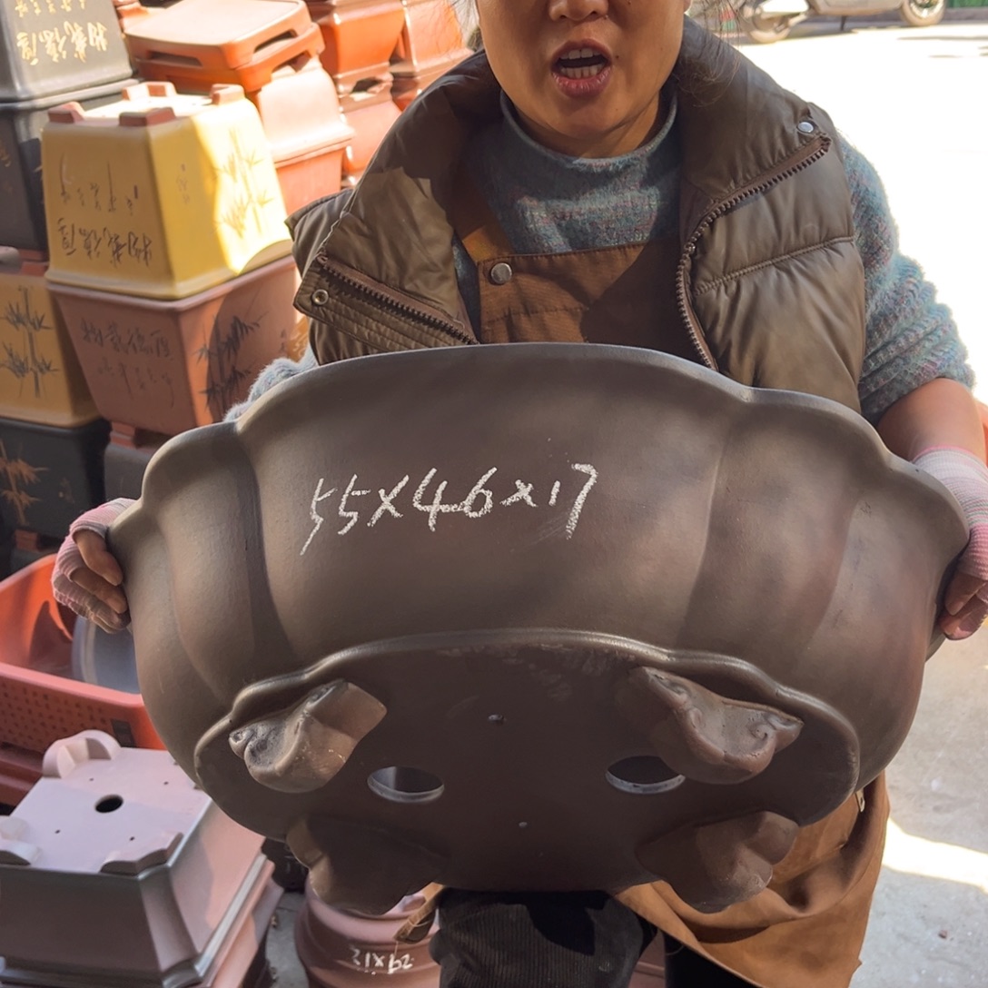 紫砂花盆盆景艺术