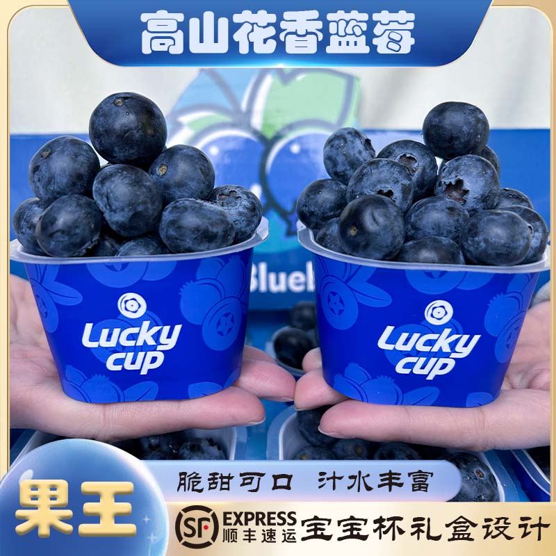 特大果15-24+mm蓝莓王鲜果盒装应当季水果现摘60g/盒细腻香甜顺丰