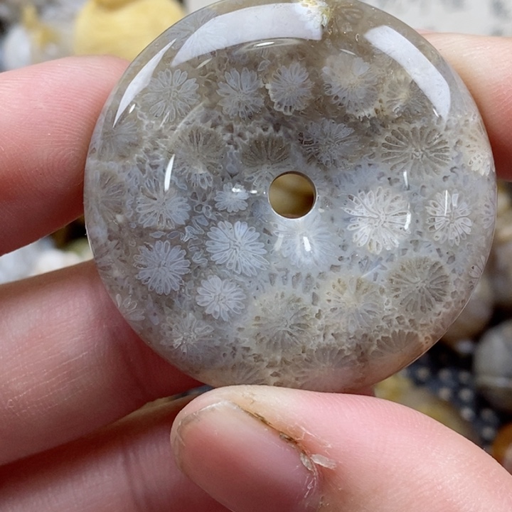 颈饰未镶嵌硅化珊瑚（珊瑚玉）