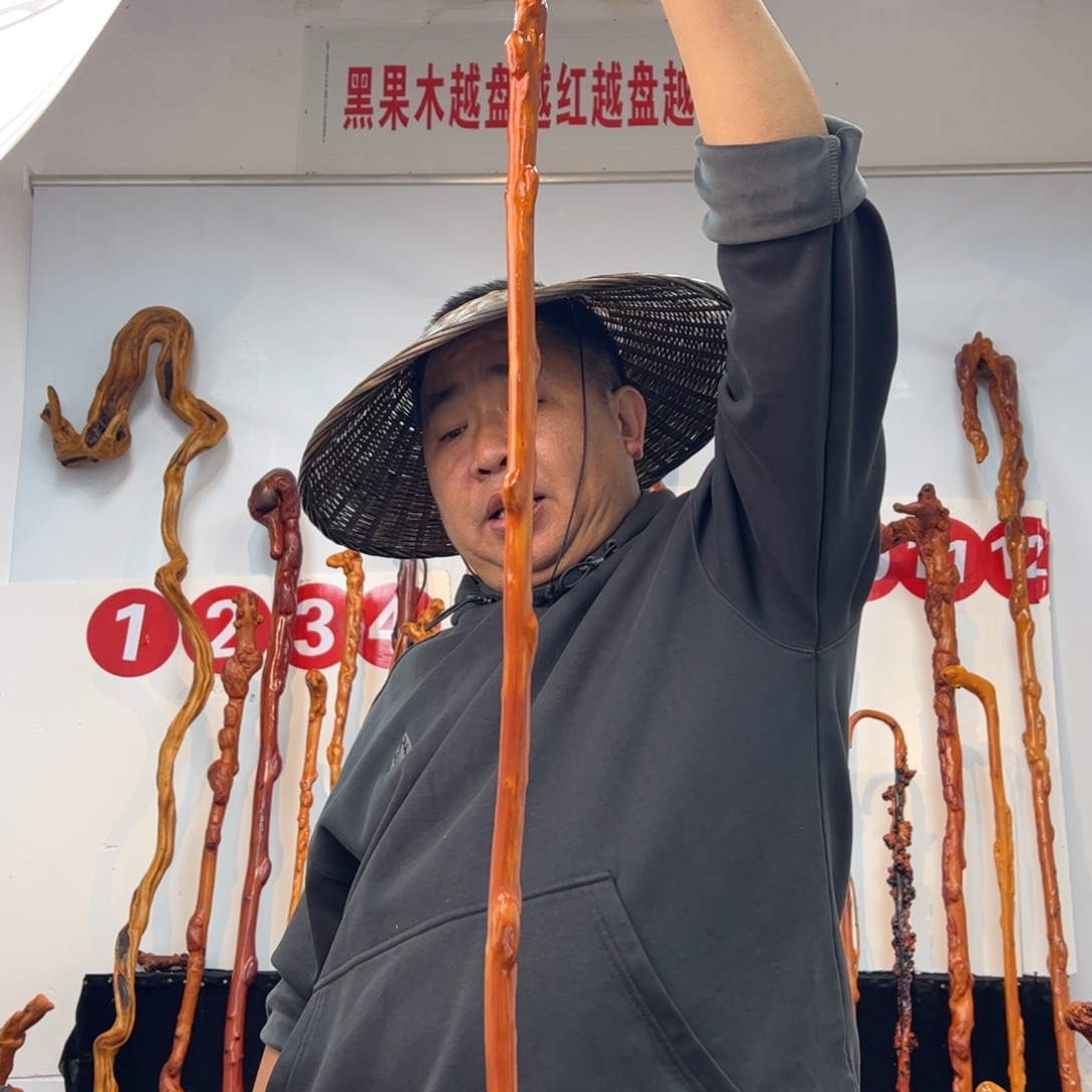 阳****黑果木其他黑果木937