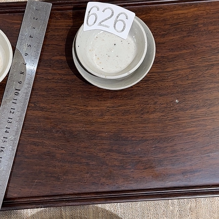 T***O壶承茶空间链接626