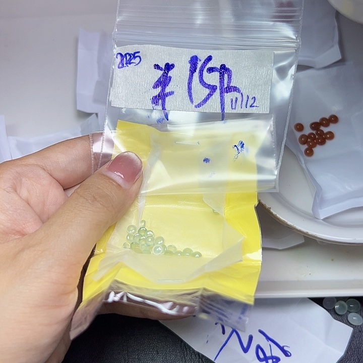 未镶嵌定制翡翠半**亮