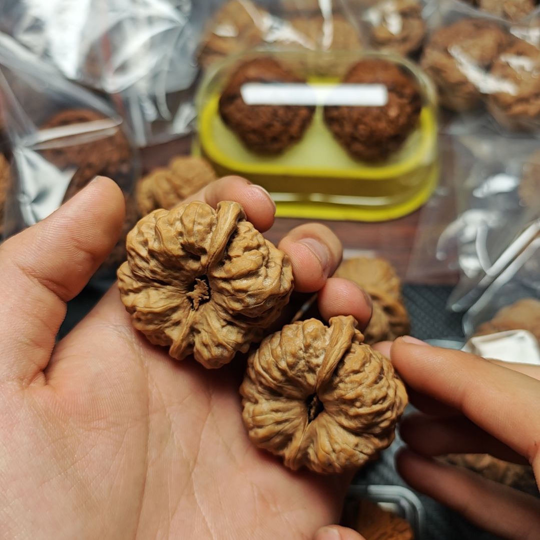 高炮大尺寸蛤蟆蛤蟆