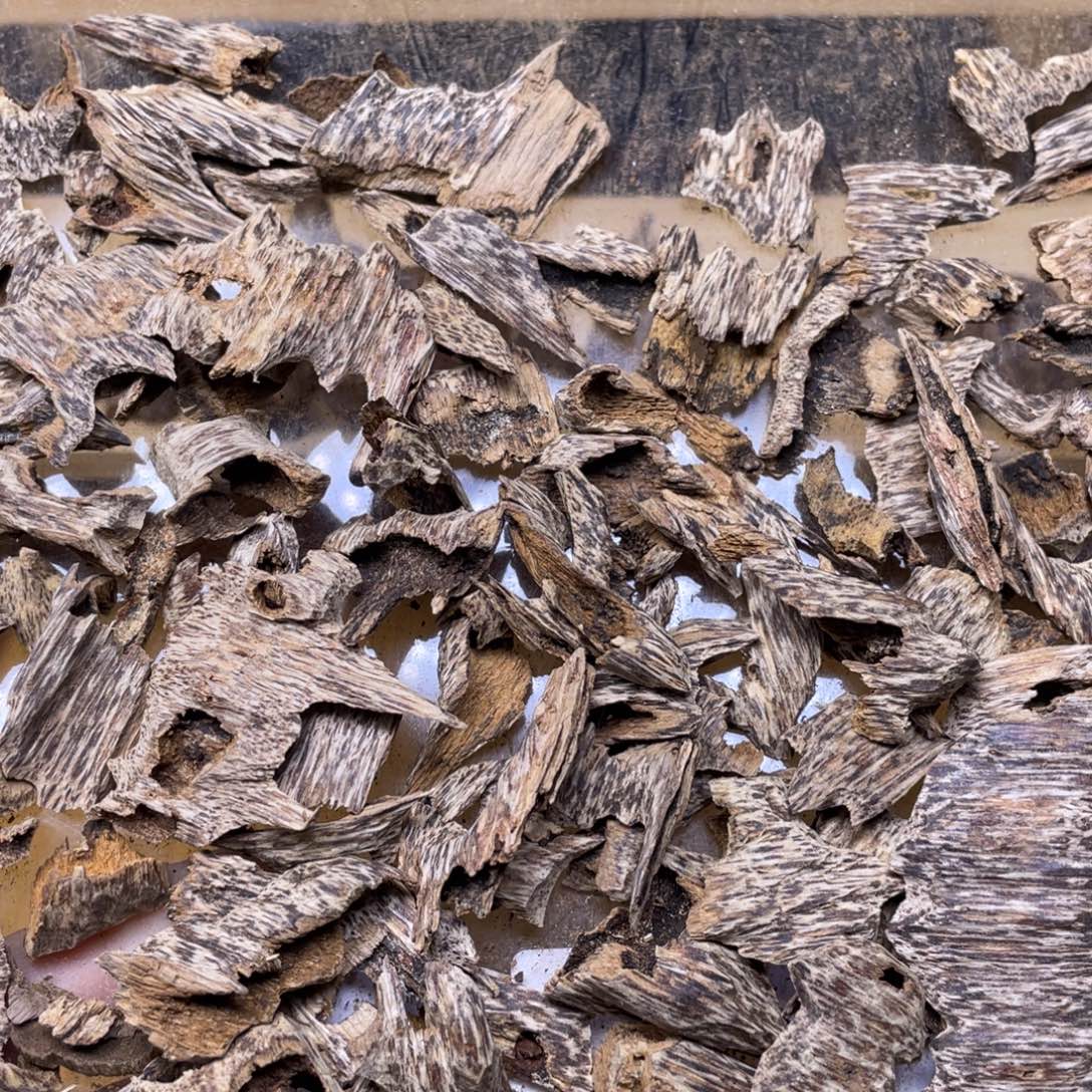 5克海南尖峰鸡母虫漏香