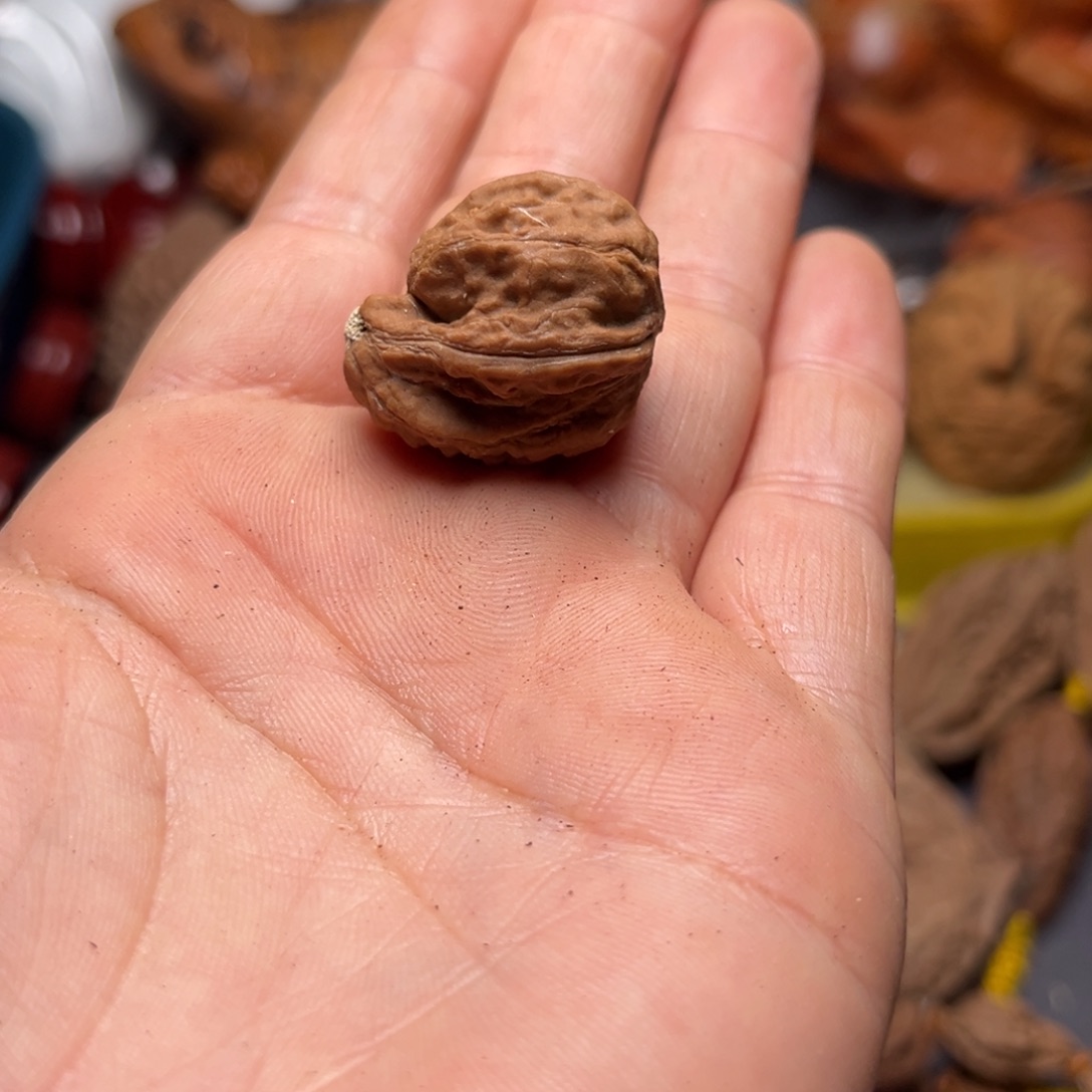 手串文玩核桃核桃40