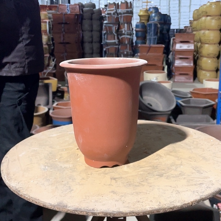 花盆花盆花盆花盆花盆花盆