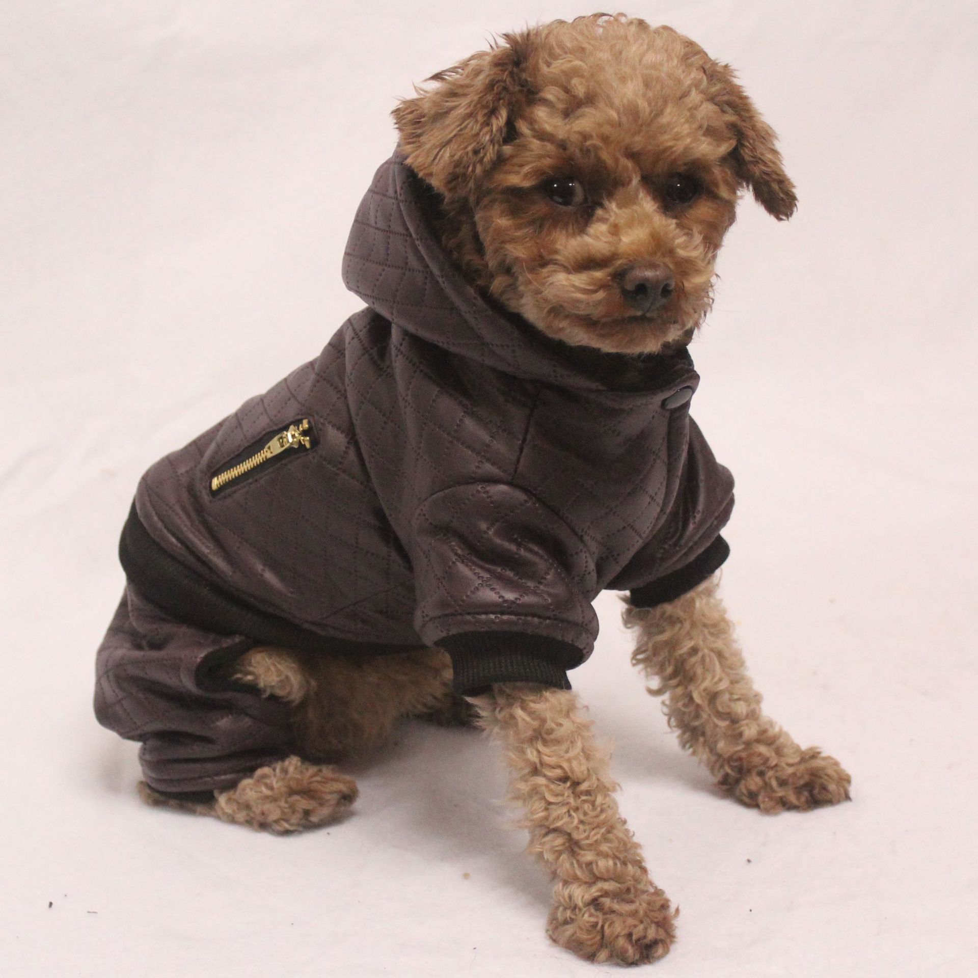 狗狗衣服全场孤品