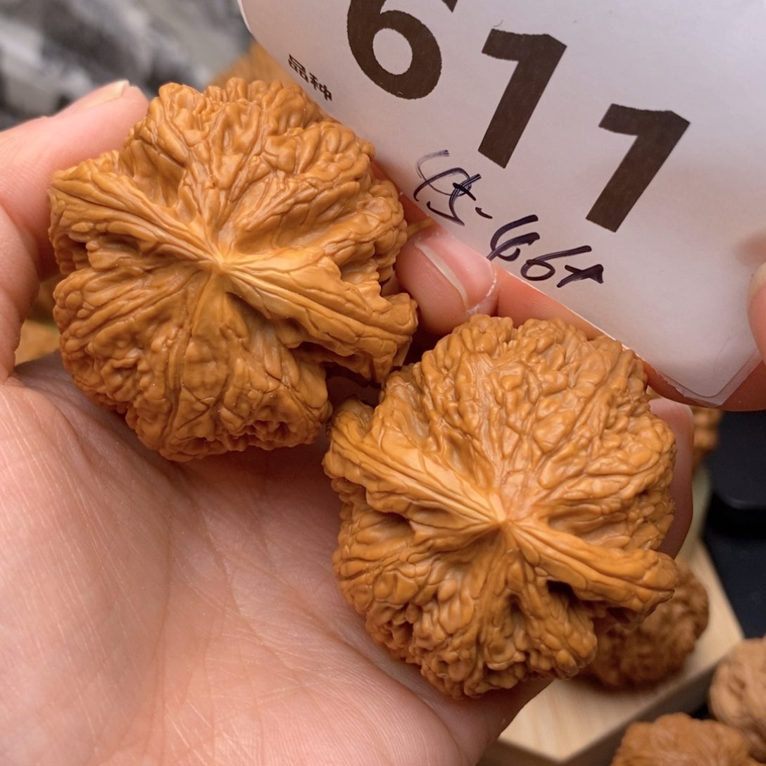 文玩核桃把件611高45粗筋