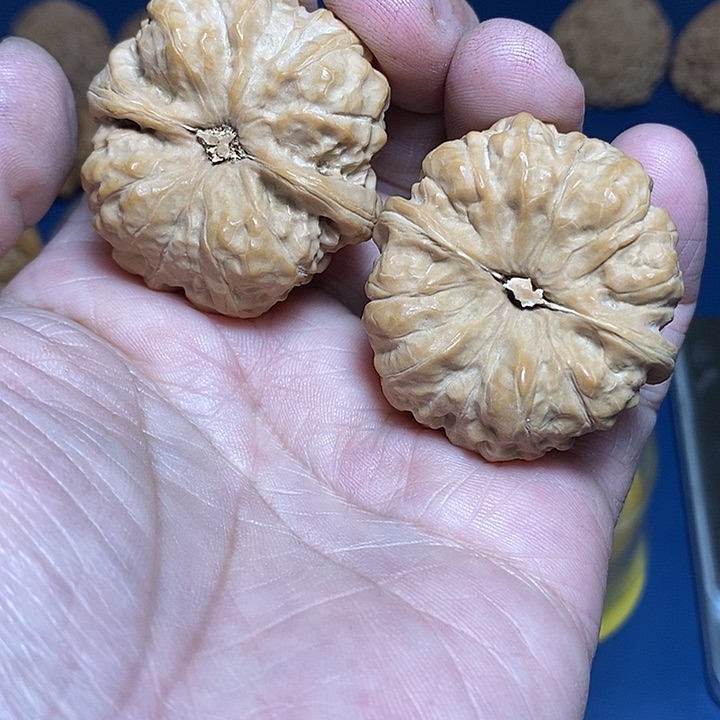 文玩核桃把件我*42尺，蛤蟆头