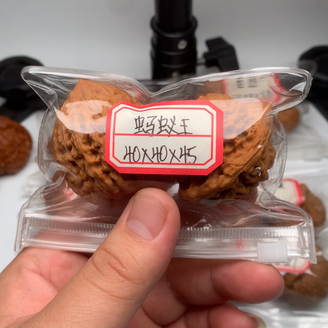 文玩核桃把件蚂蚁王40