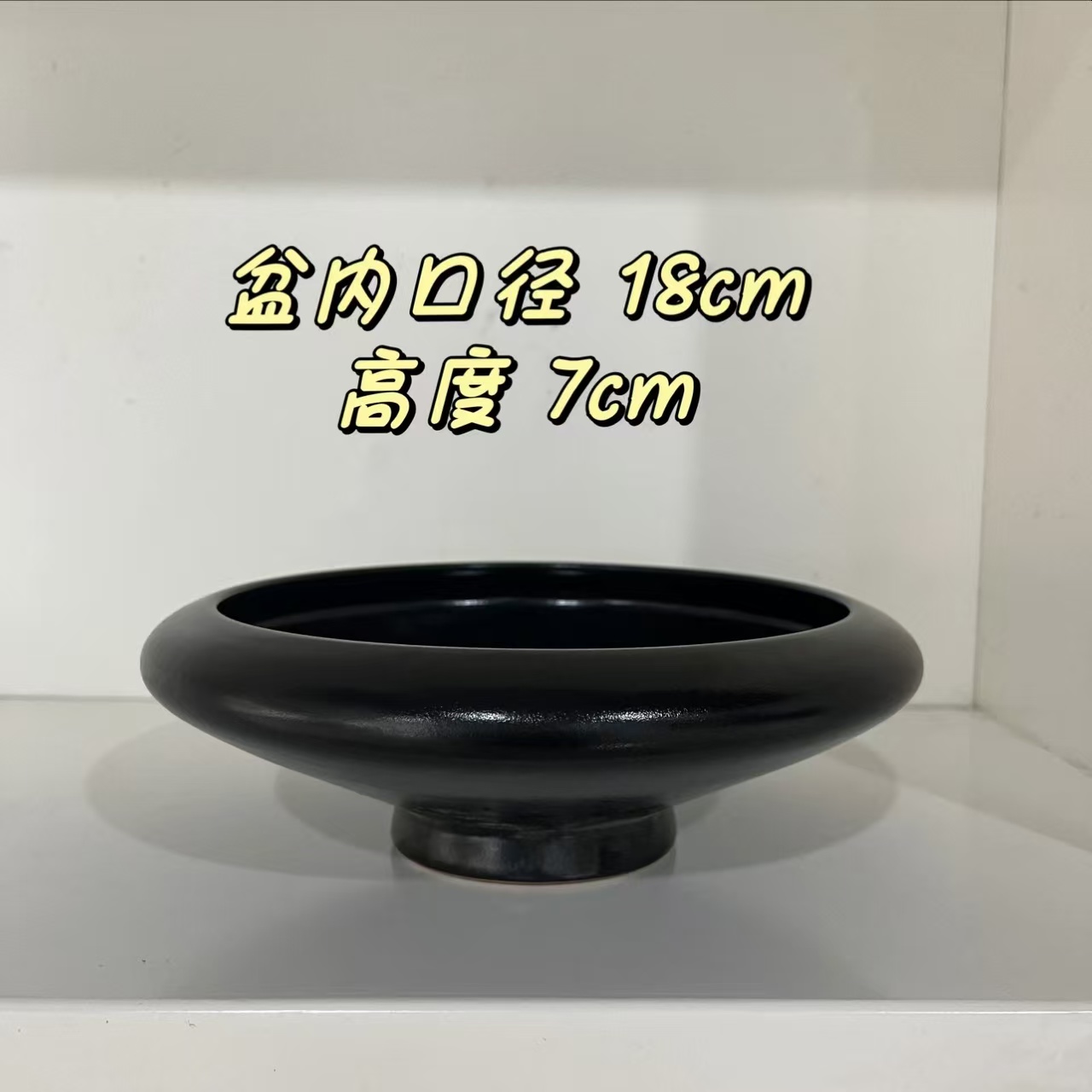 无孔水培盆高颜值创意适合苔藓球蕨类植物家用