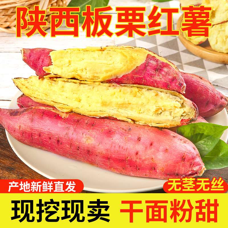 【蒸】【板栗口感】新鲜现挖粉糯香甜板栗薯无丝无筋非小香薯番薯