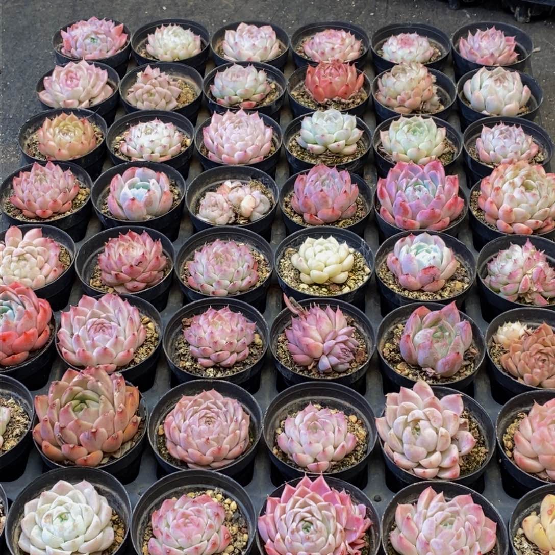 081多人在一起的时候