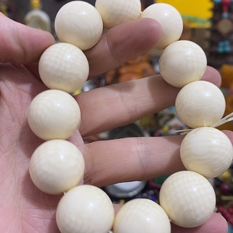 其他1356585599999999999