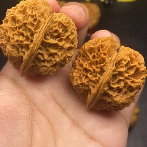文玩核桃把件39尺荒古金蝉