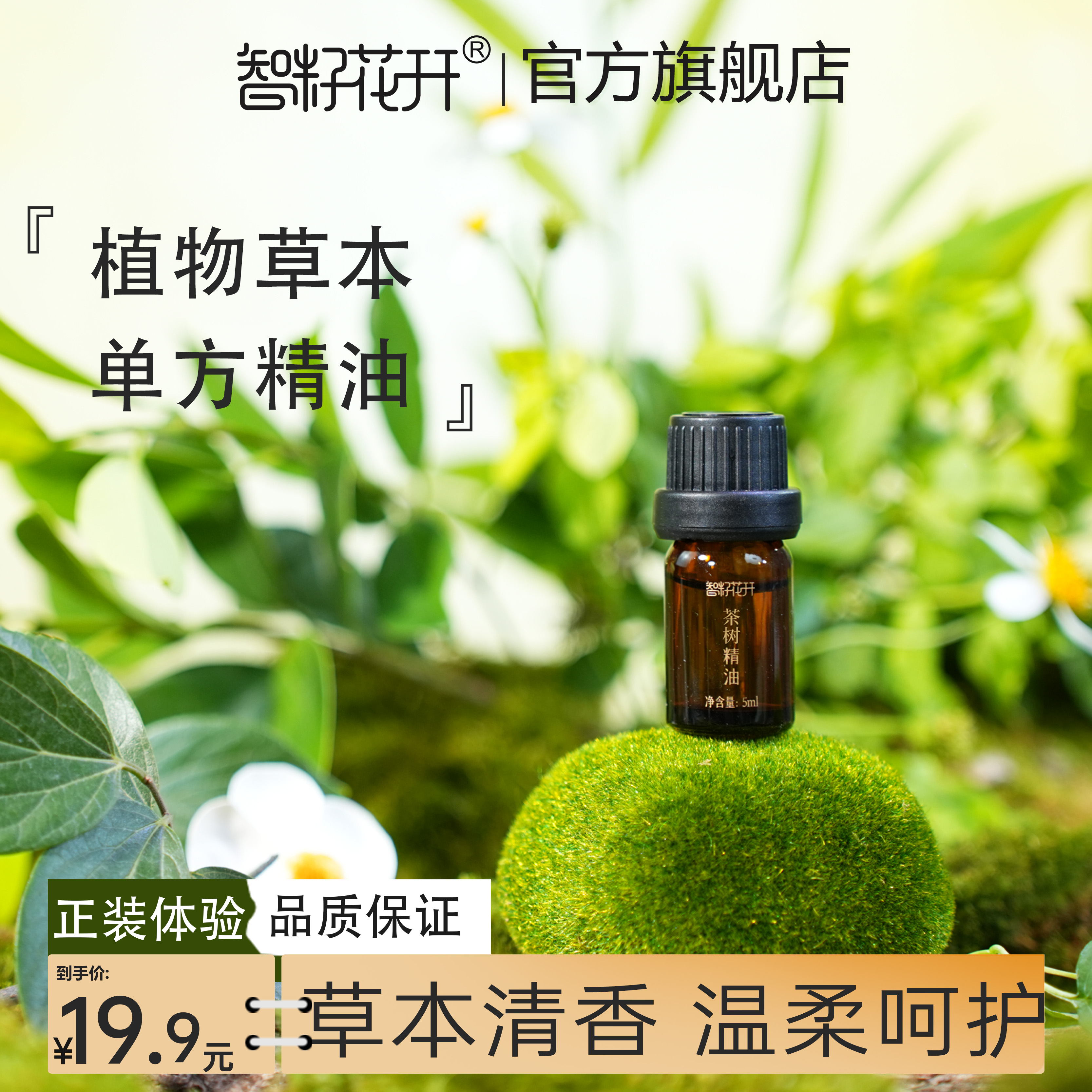 【茶树精油】家用身体护理按摩油无香精无矿物油调香
