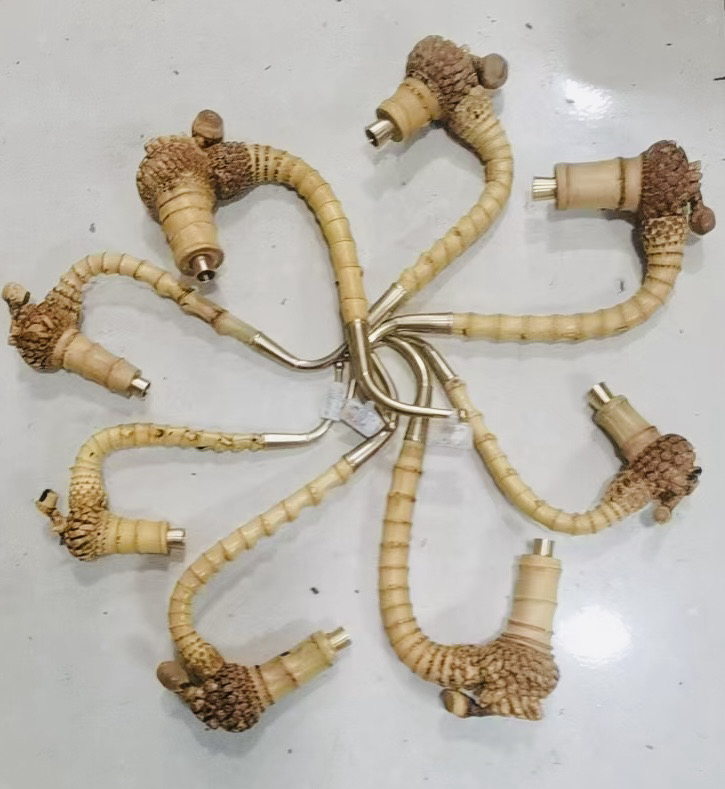 贵州青姐一物黑竹子一拍