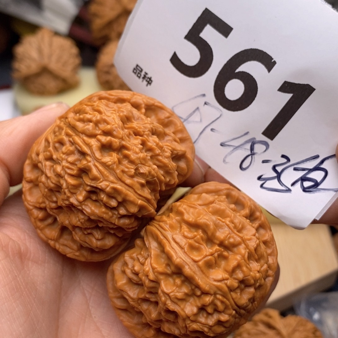 文玩核桃把件561号47白