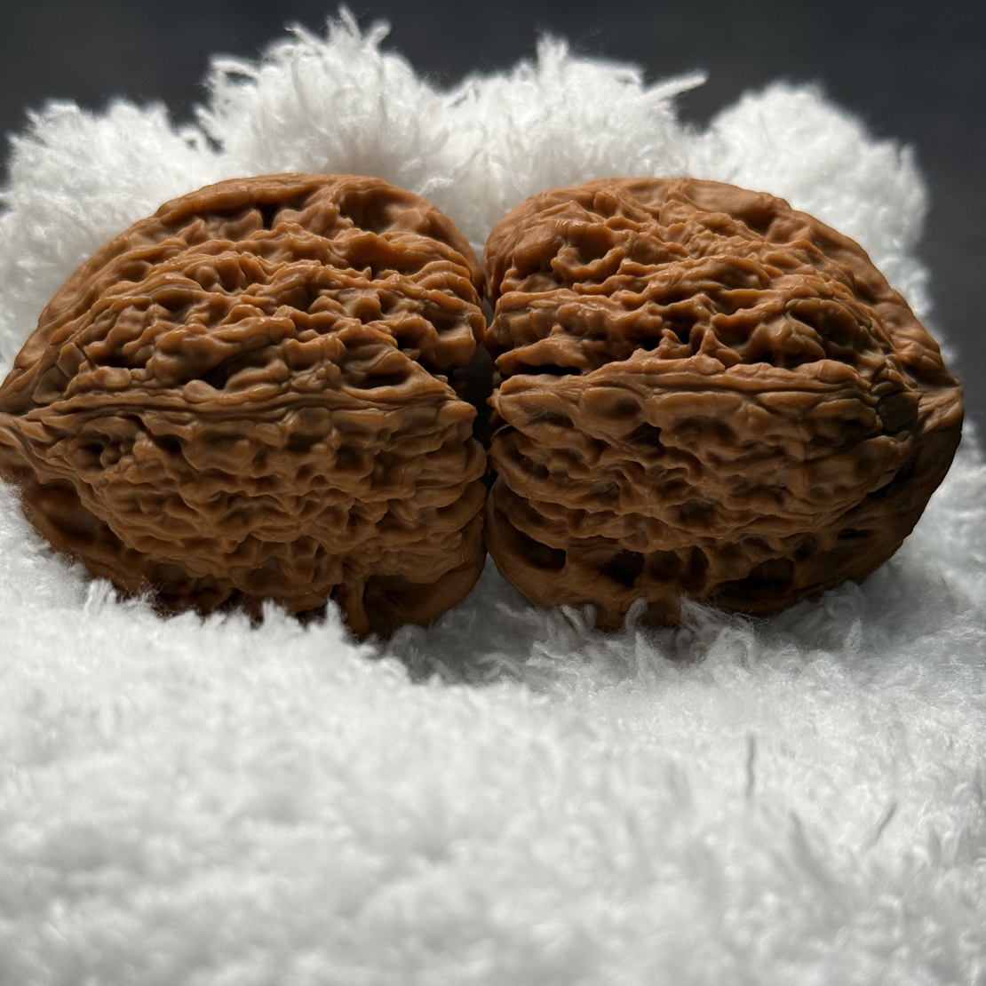 逐鹿老树妖刀南将石边42.5肚41高42.5收藏级佳品