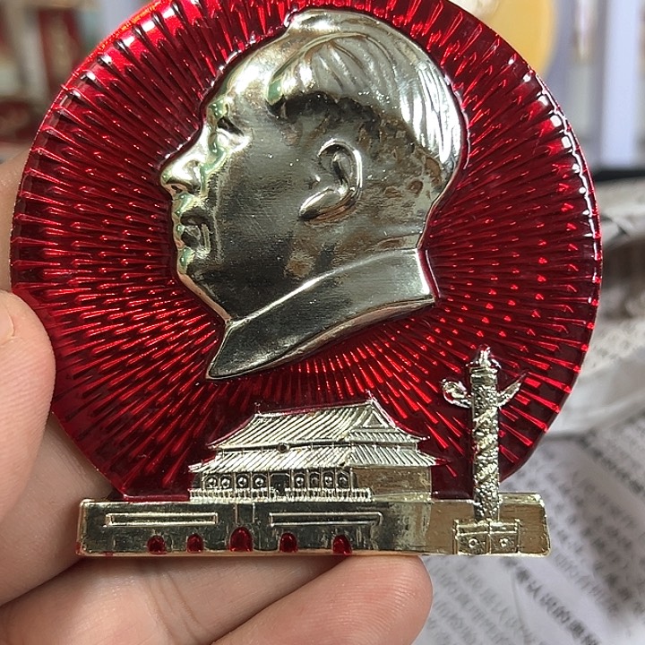 其他普通金属～****～纪念章