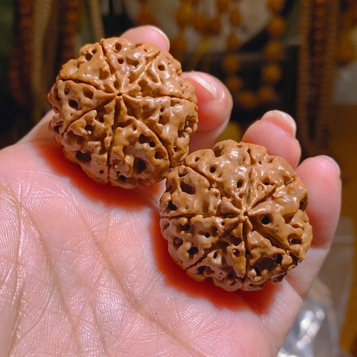 野生多半大金刚把件327