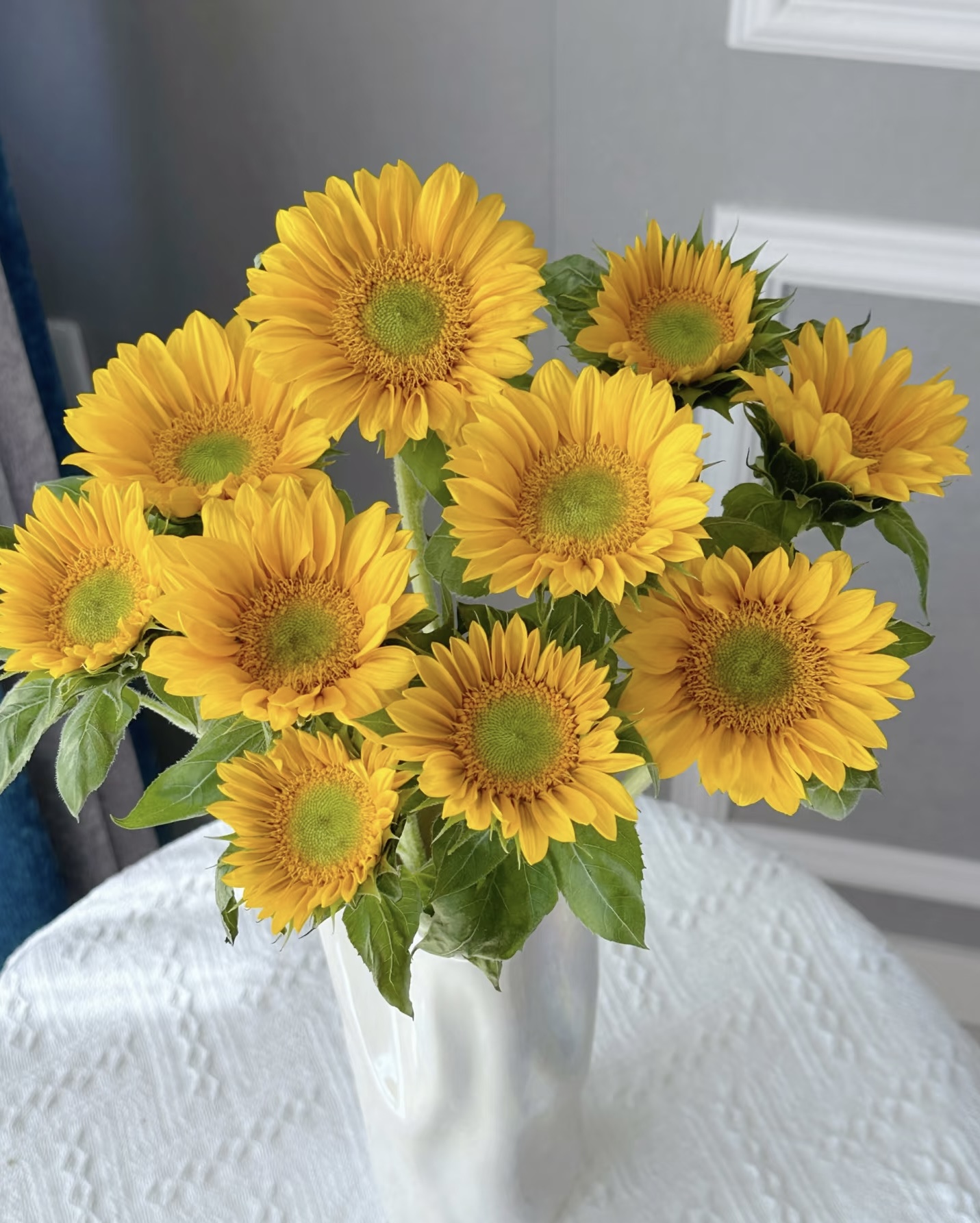 【绿心向日葵5支】任意2单鲜花升级顺丰冷链/德邦空运包邮