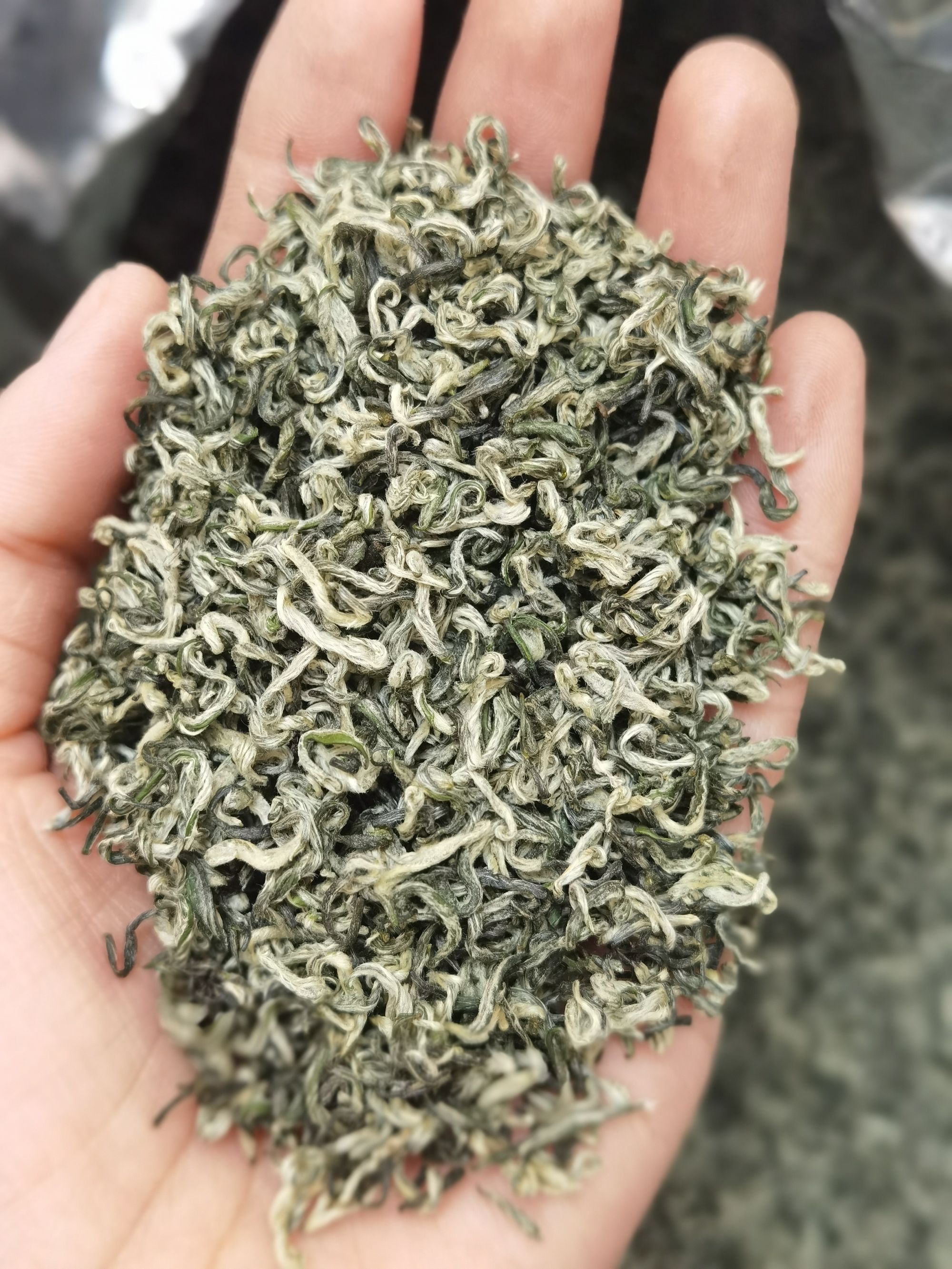 【B32款绿茶碧螺春】2025年新茶明前茶碧螺春绿茶 浓郁 嫩芽回甘