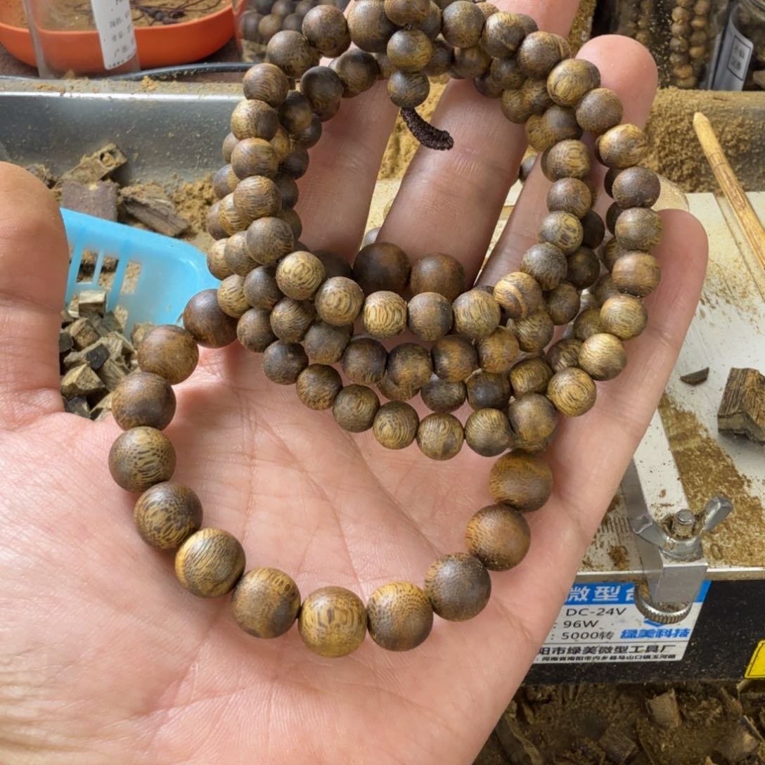 *️**高油脂海南陆河品种08多圈25克