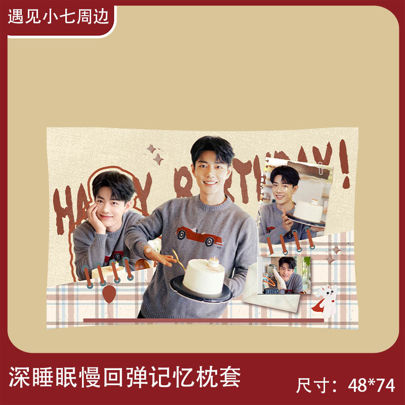 【深睡眠慢回弹记忆枕套】肖战王一博博肖周边