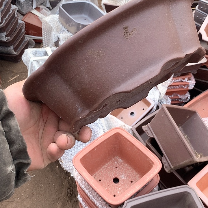 紫砂优秀青年科技人才创新人才