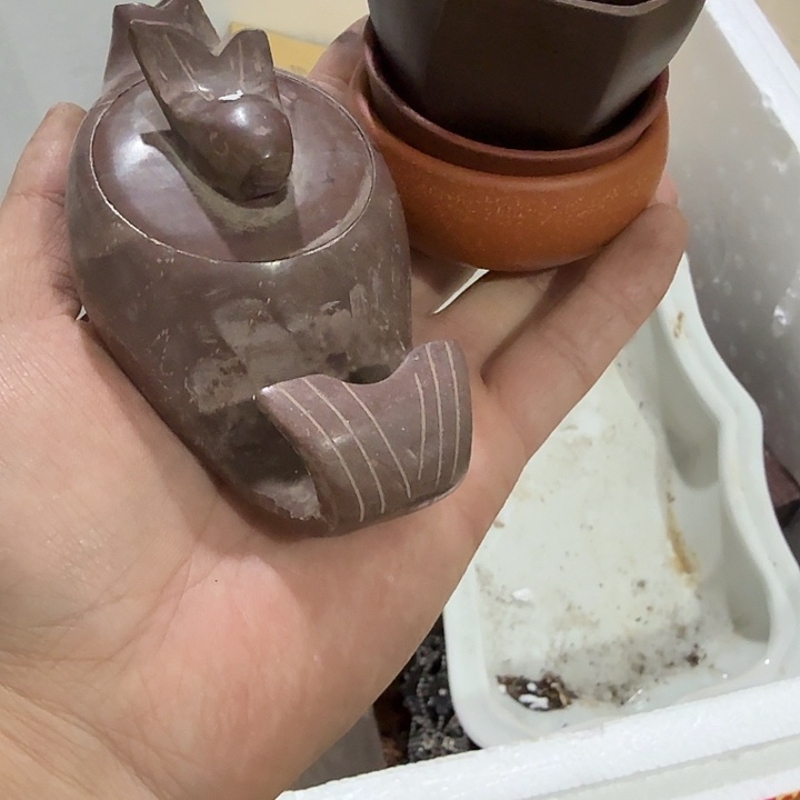 感***6扇子吃g个恍恍惚惚哈哈哈哈哈哈