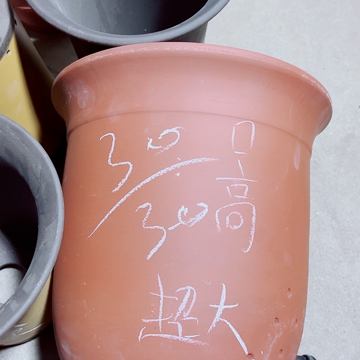 红陶知道紫砂紫砂紫砂