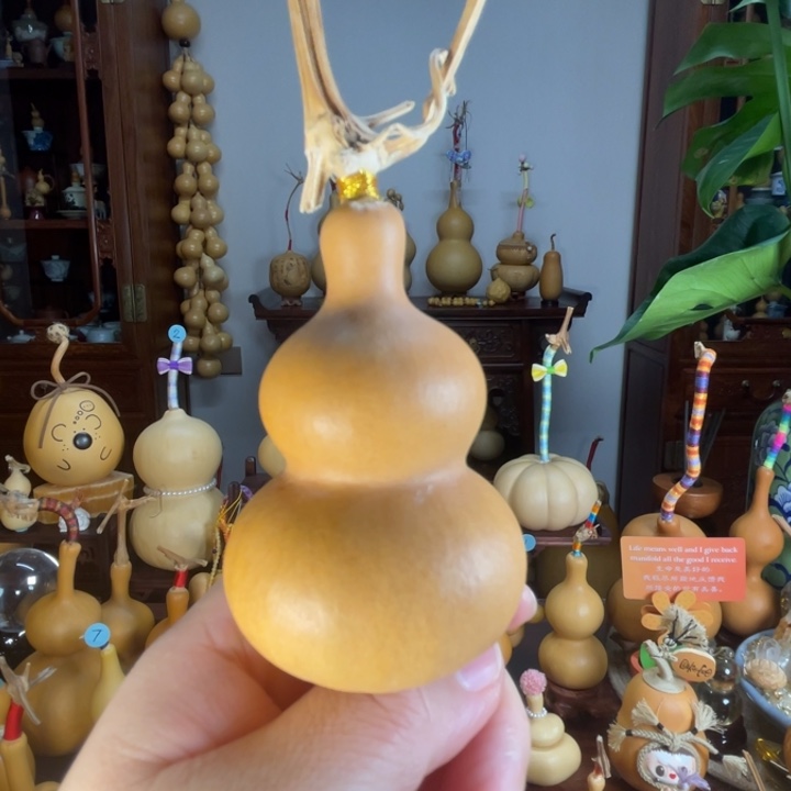 直嘴厚皮响籽葫芦