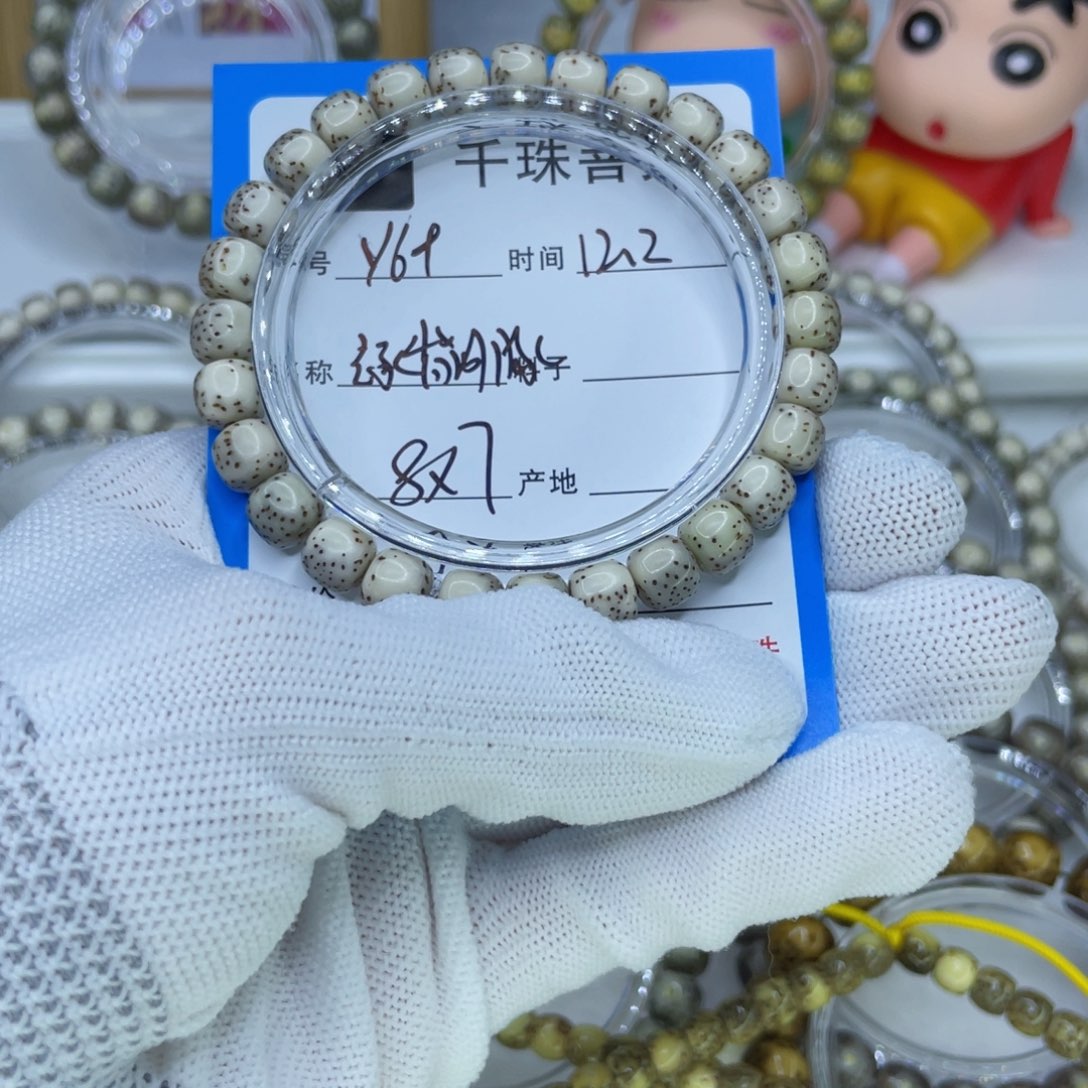 菩提籽类Y69绿背河豚