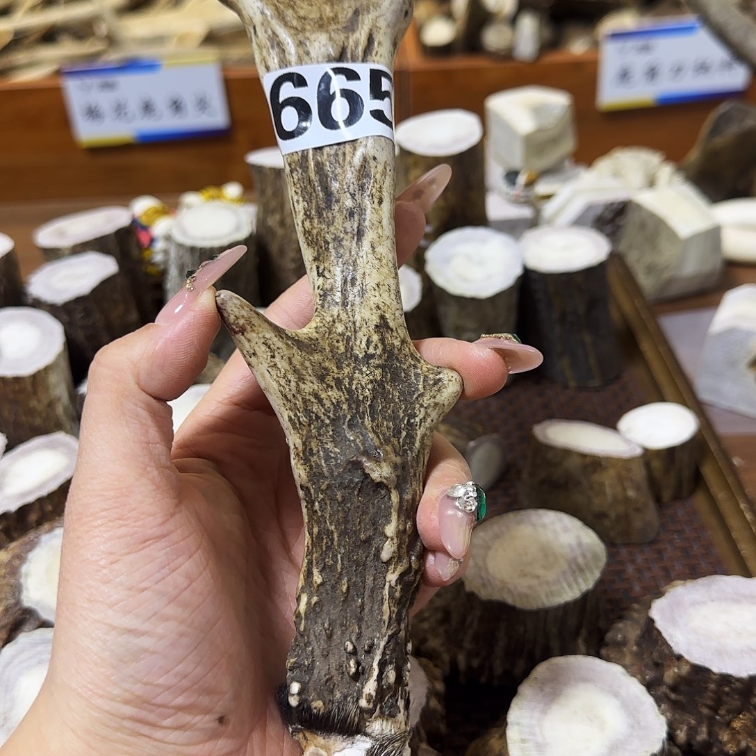 手串/手链鹿骨665梅花鹿独角