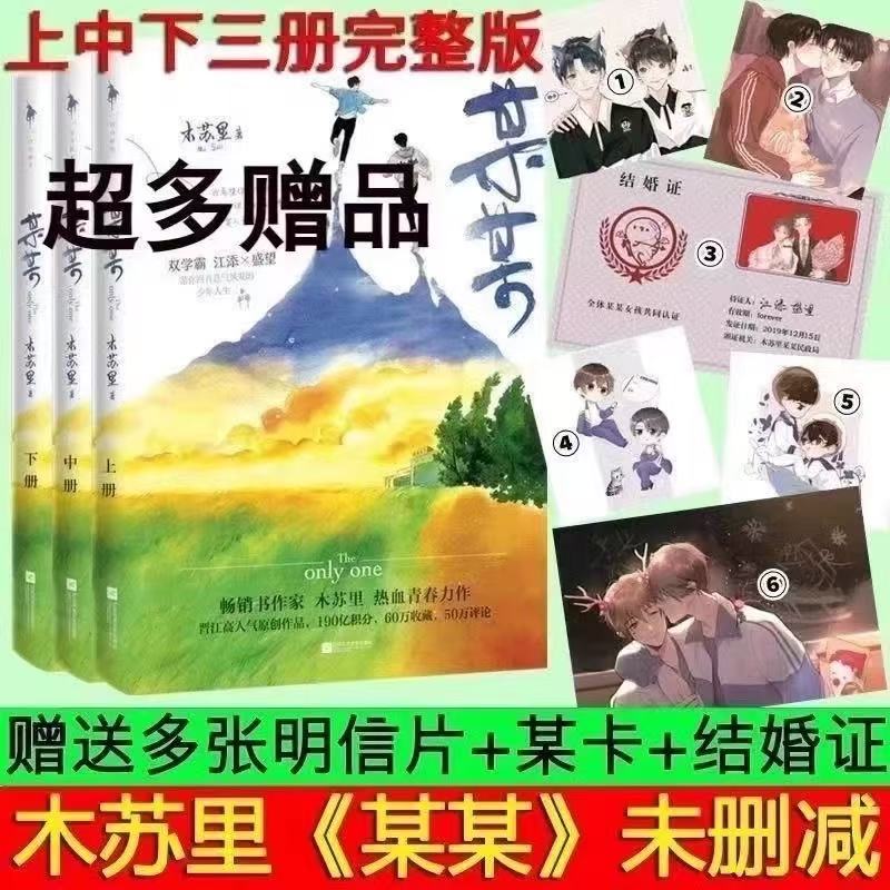 某某小说盛夏小说木苏里热血青春力作畅销书青春都市现代