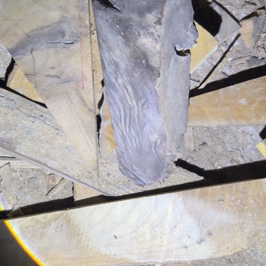 พ****金丝楠木小叶桢楠