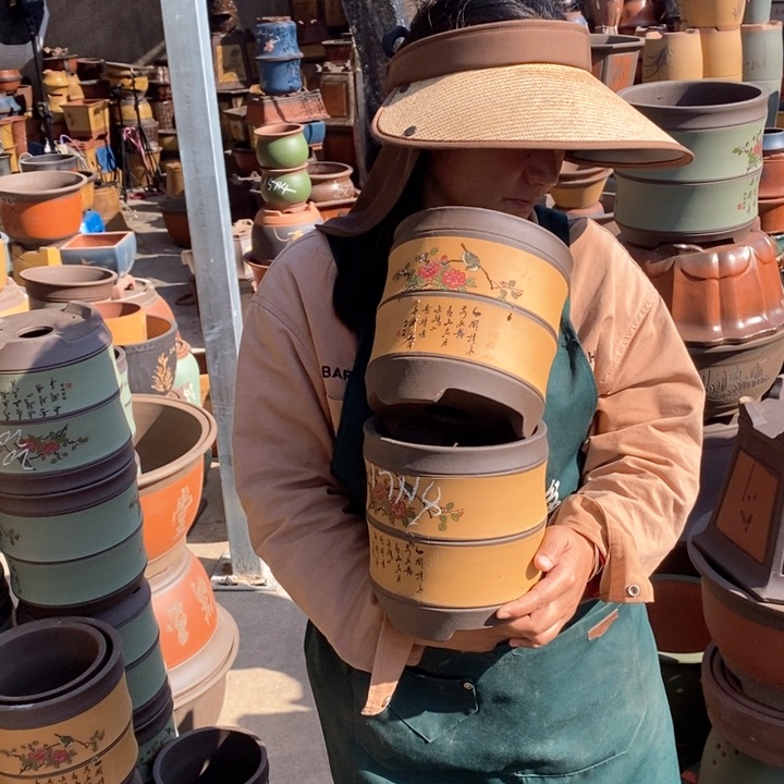 紫砂花盆盆栽花卉苗木种植