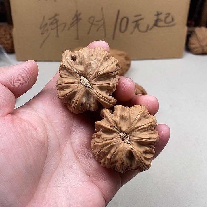 乙***吊坠龙脊菩提207.207.207