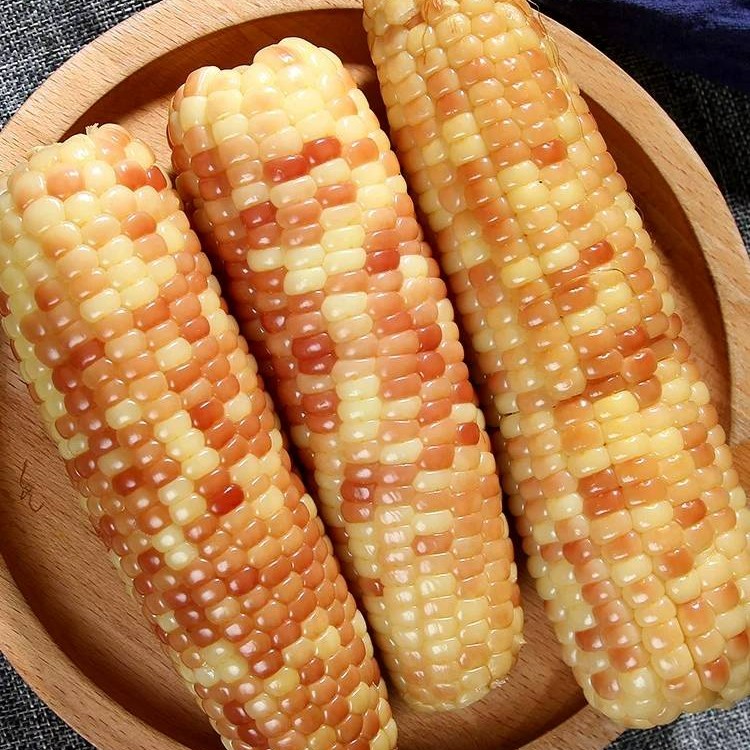 西双版纳花糯玉米粗粮代餐糯玉米香糯甜糯真空即食新鲜苞谷主食