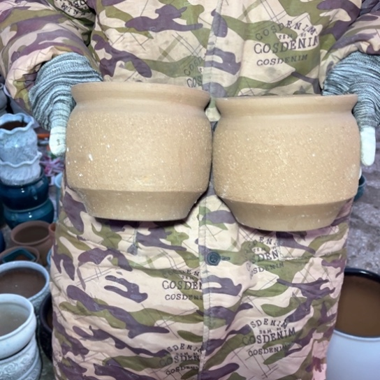 红陶口15高15正品