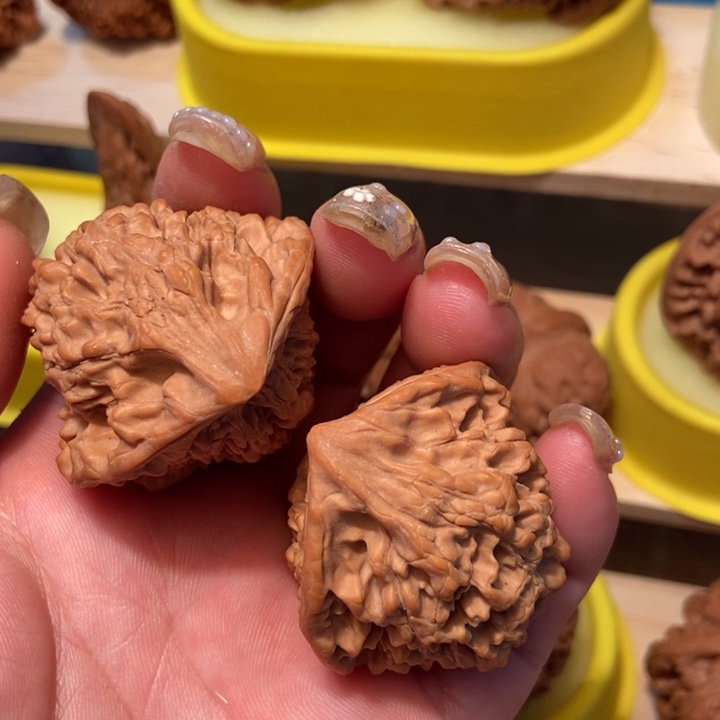 官方网站发布消息显示