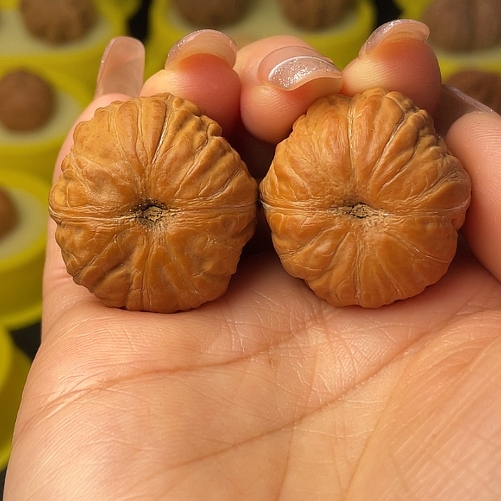 吊坠文玩核桃树皮纹