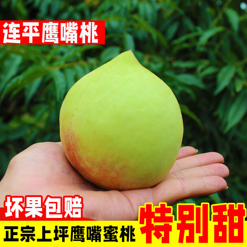 8斤大果上坪鹰嘴桃现摘现发
