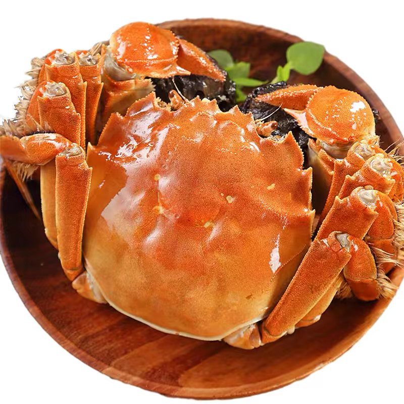 【活蟹现发】南湖青蟹活蟹现发公母混装14-16只海鲜