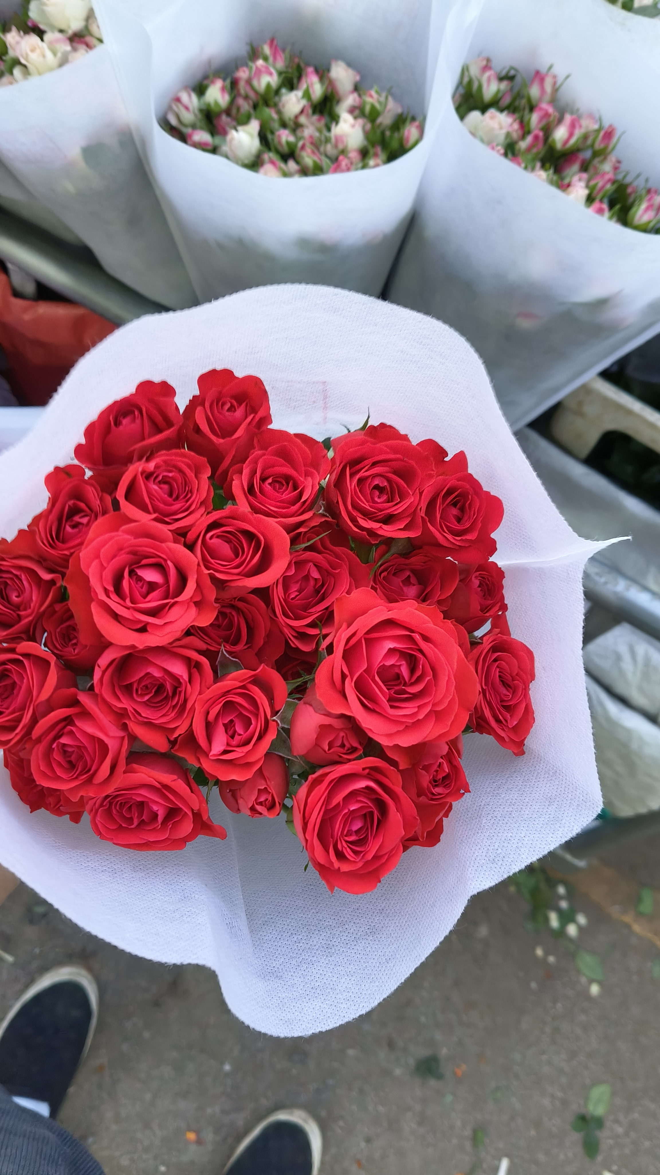 多头泡泡小玫瑰鲜花花束适合家用水养