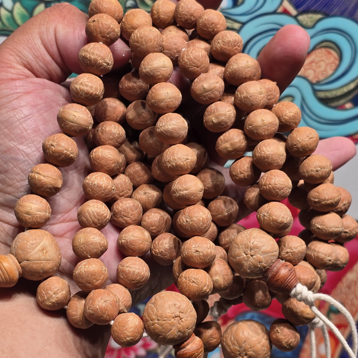 尼泊尔实心凤眼菩提-锦柚玉蝶-sss➕系列单圈（实心招牌）