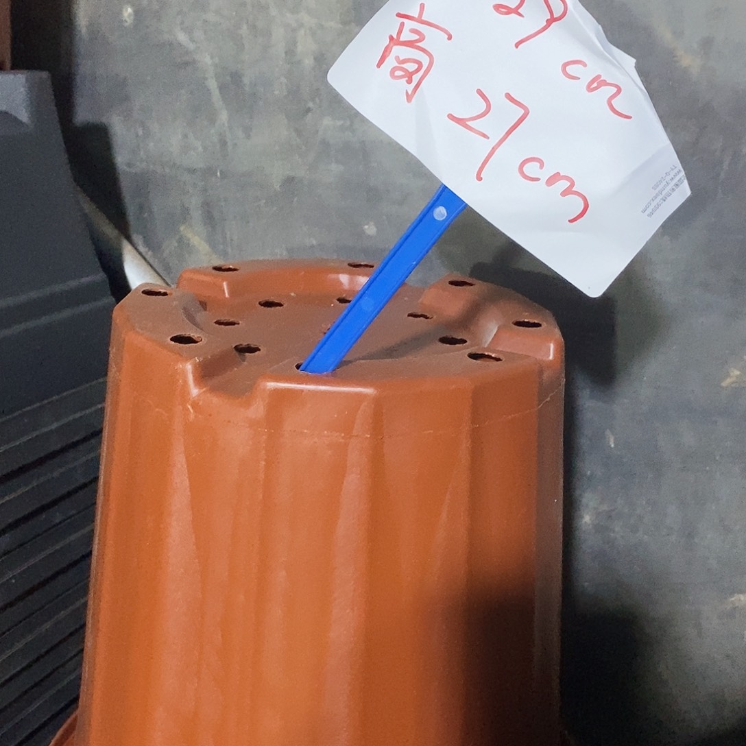 塑料新29公分红砖盆5个 