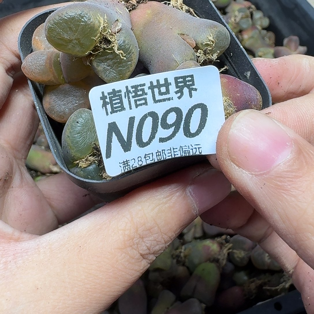 的润泽的润泽的润泽fgh