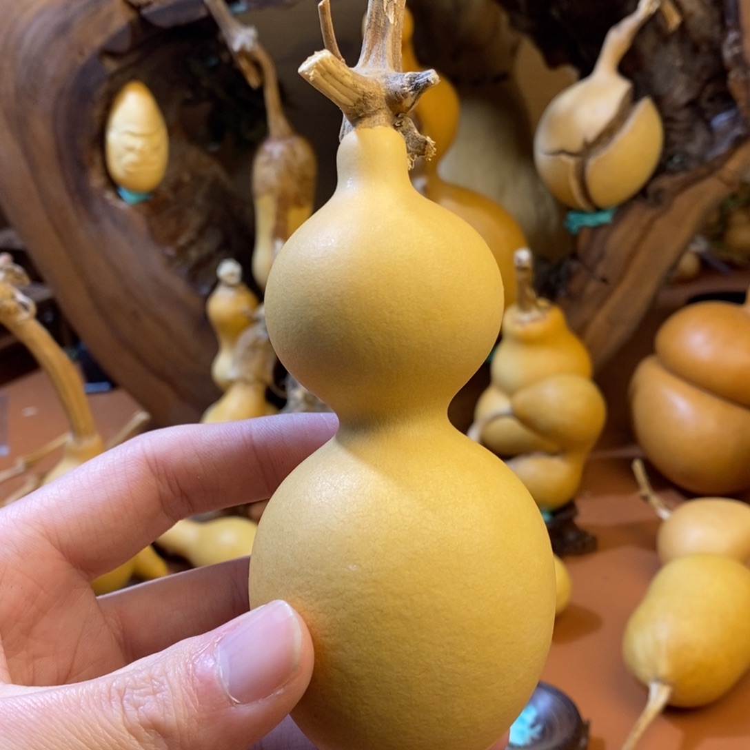 安***卿教练教练经理教练咯